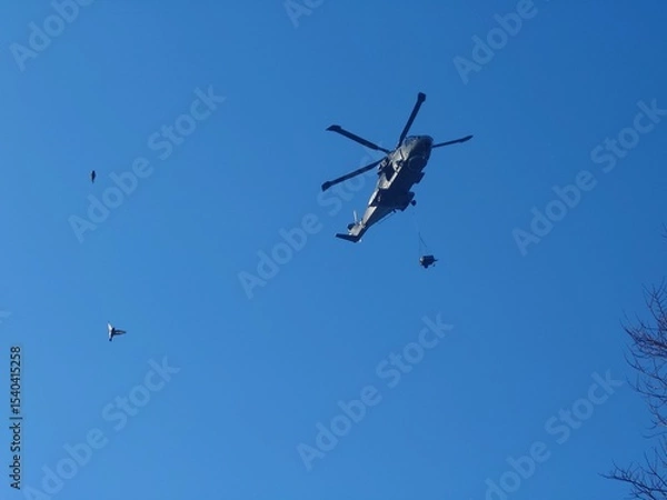 Obraz sling loading helicopter and birds