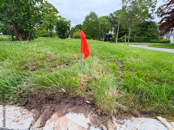 Obraz Bright Red Flag Marks Landscaping Work on a Grassy Area Near a Road