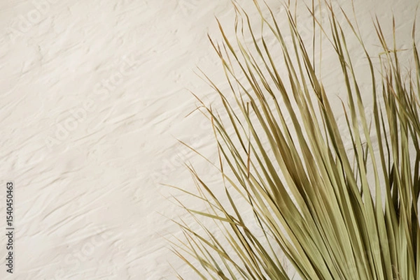 Obraz Close up of dry palm leaves on a textured beige background. Natural botanical decor for tropical and minimalist design.