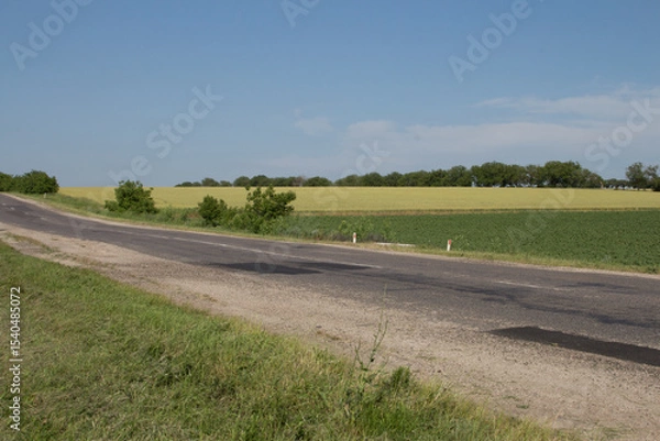 Obraz A road with grass and trees