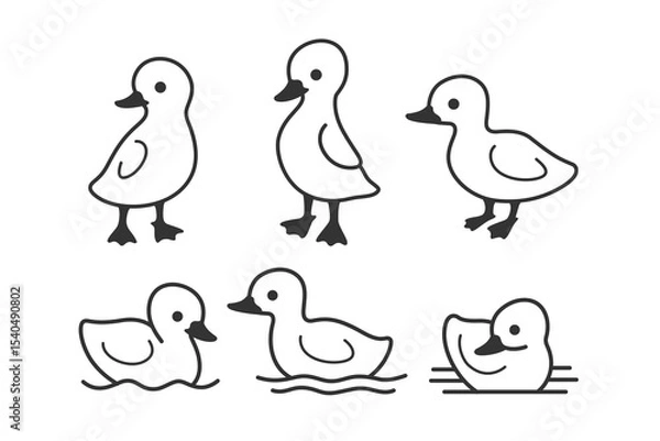 Obraz Cute duckling swam in water. Contour vector illustration.