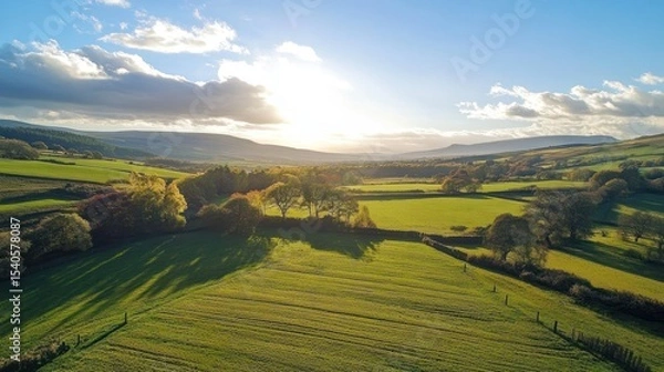 Fototapeta Serene Autumnal Landscape: Rolling Hills and Golden Fields