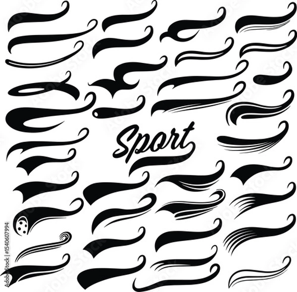 Fototapeta Decorative Swirls and Swooshes Graphic Collection for Design Projects