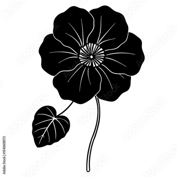 Obraz black and white flower