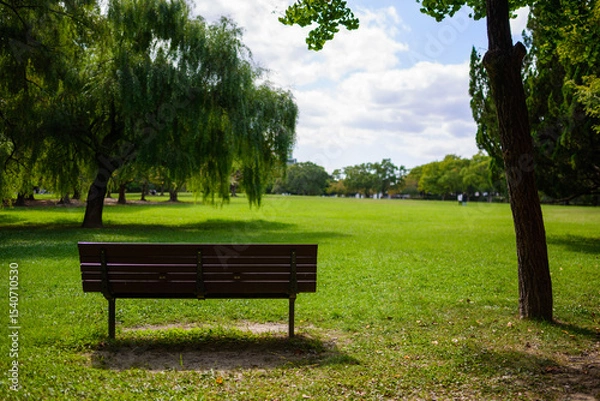 Obraz 公園のベンチと芝生
