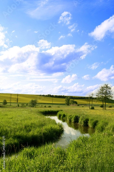 Fototapeta Blumenwiese