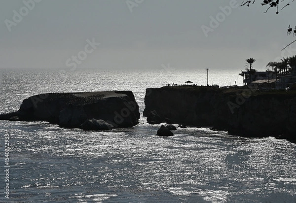 Obraz Searbird Rock is separated from the mainland near Pismo Beach.
