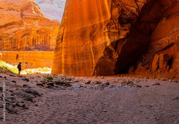 Fototapeta Female Hiker With Large Sandstone Alcove at The Confluence of Wire Pass and Buckskin Gulch, Vermillion Cliffs National Monument, Utah, USA