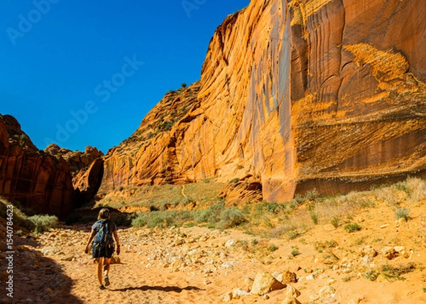 Fototapeta Female Hiker With Tall Vertical Sandstone Walls at The Confluence of Wire Pass and Buckskin Gulch, Vermillion Cliffs National Monument, Utah, USA