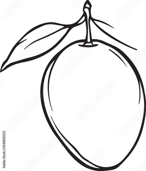 Fototapeta hand-drawn black and white mango with leaves — minimalist fruit illustration for culinary and botanical design