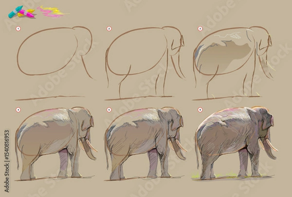 Fototapeta Page shows how to learn to draw from life sketch of the Asian elephant. Creation step by step painting with pastel chalks. Educational page for artists. Hand drawn vector illustration.