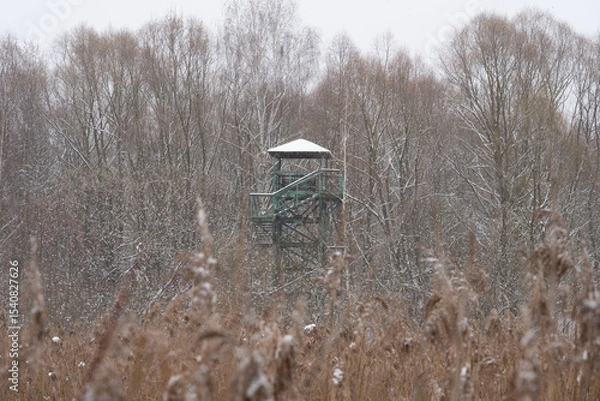 Fototapeta White snowy landscape of Moscow in winter where you can see a large field of bushes on it stands a large hunting tower built of metal.