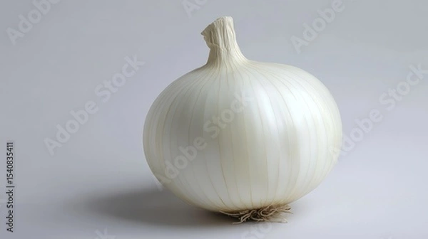 Fototapeta Single white onion against plain background (1)