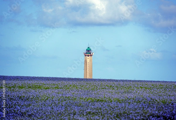 Obraz Phare d`Antifer