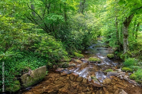 Obraz western north carolina river