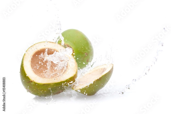 Obraz coconut water splashing