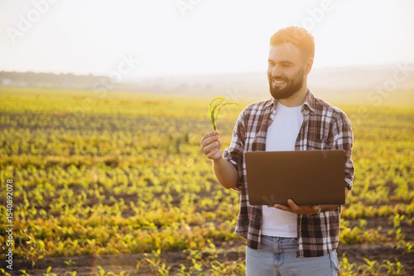 Obraz Agronomist holding corn sprout and laptop in cornfield at sunset
