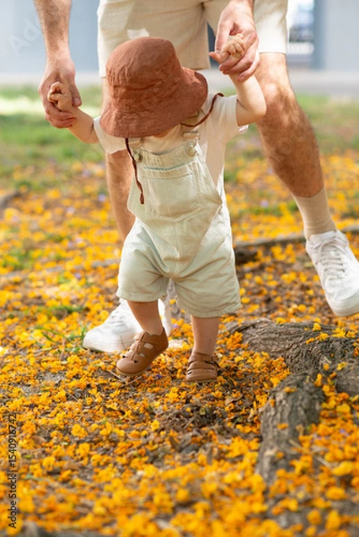 Obraz Toddler taking first steps with adult support in a park. The child walks over yellow flower petals, wearing a sun hat and summer clothes. Outdoor bonding and early childhood development moment. 