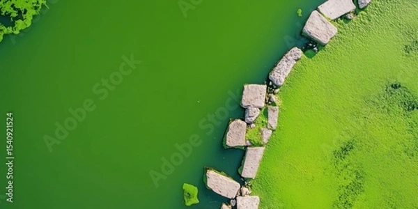 Obraz An Aerial View showcasing the Vibrant Green Water interspersed with Stones and Algae