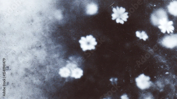Fototapeta Chamomile flowers with a soft texture creating a tranquil and delicate atmosphere for natural enthusiasts
