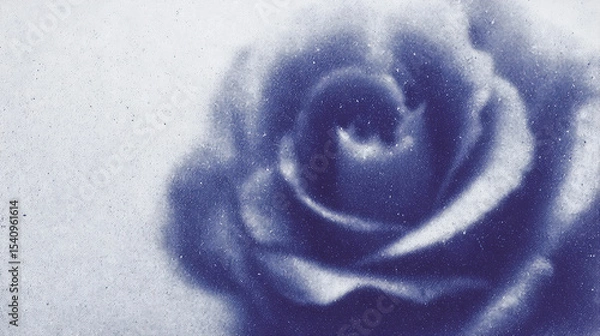 Fototapeta Texture rose poster presenting a close-up view of a beautifully detailed flower with a soft color palette