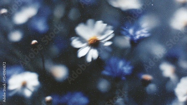 Fototapeta Soft blossoms in a garden exhibit gentle hues and an enchanting blurred effect capturing nature’s beauty