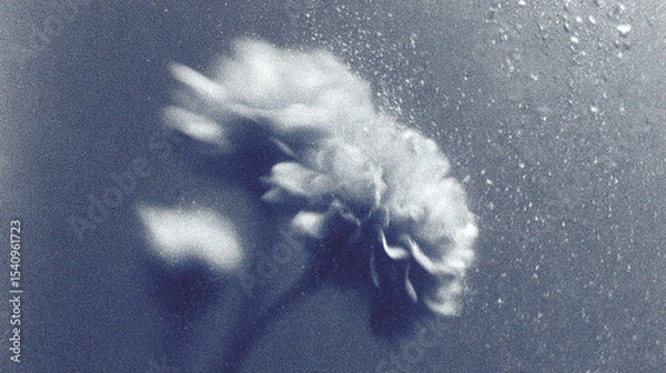 Fototapeta Close-up view of a flower with water droplets, creating an artistic blur effect in a serene environment