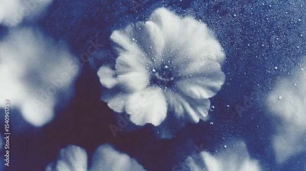 Fototapeta Blurred floral composition with soft petals creating a serene atmosphere in cool blue tones