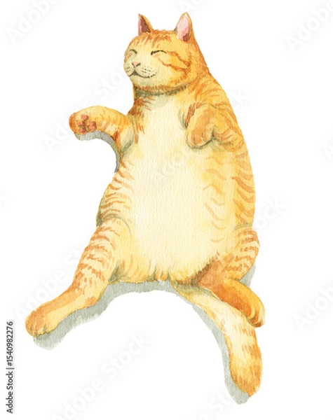 Obraz アナログ水彩昼寝する太ったトラ猫