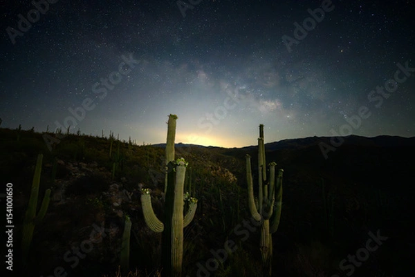 Fototapeta Desert Milky Way