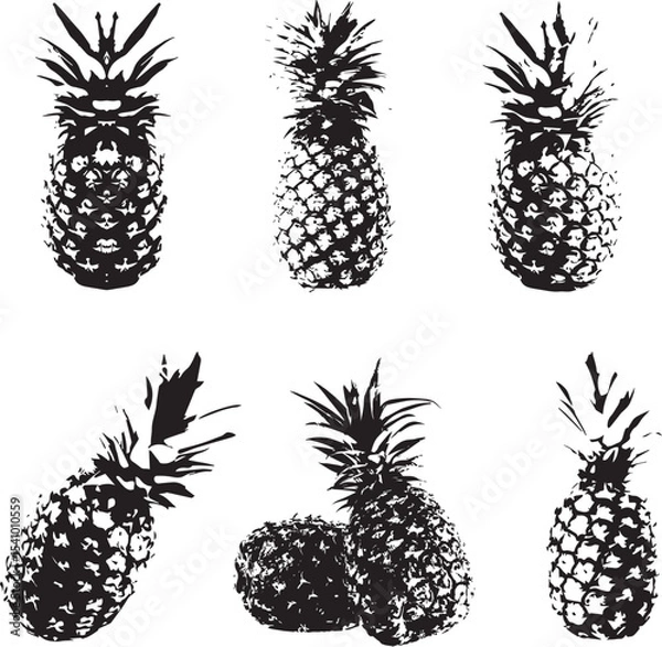 Obraz Pineapple fruit icon vector illustration bundle