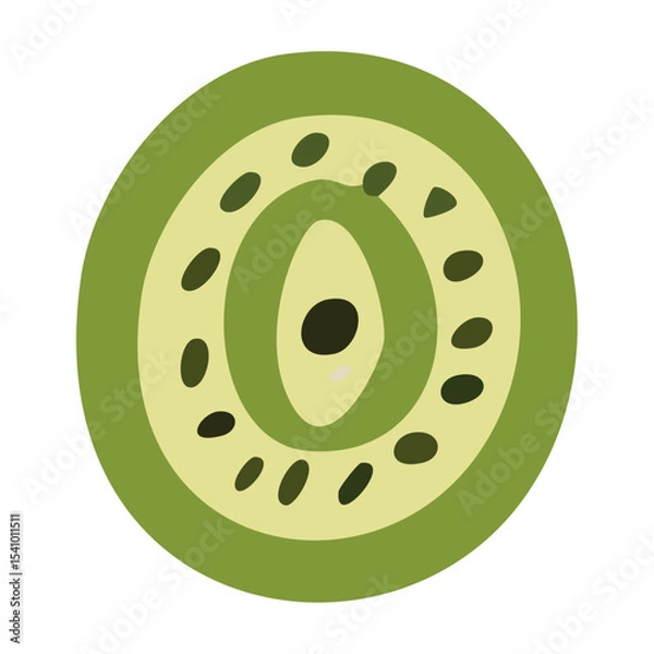 Fototapeta Kiwi fruit cross section. Vector