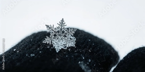 Fototapeta A snowflake resting on a black knitted glove against a bright white background in winter season
