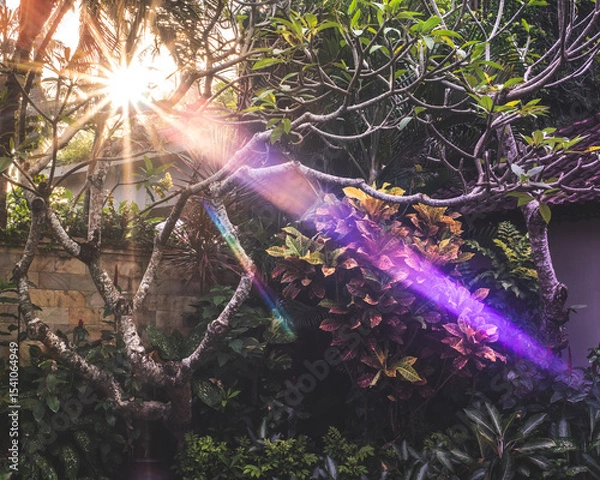 Obraz Sunlight Through Tropical Garden with Colorful Lens Flare, Bali

