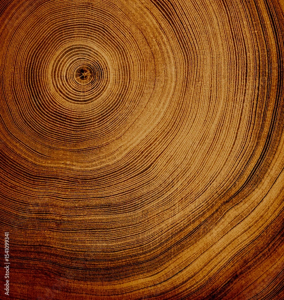 Fototapeta Detailed close-up of a tree ring cross-section, highlighting the intricate growth patterns and the passage of time. Perfect for themes of nature, sustainability, environment.
