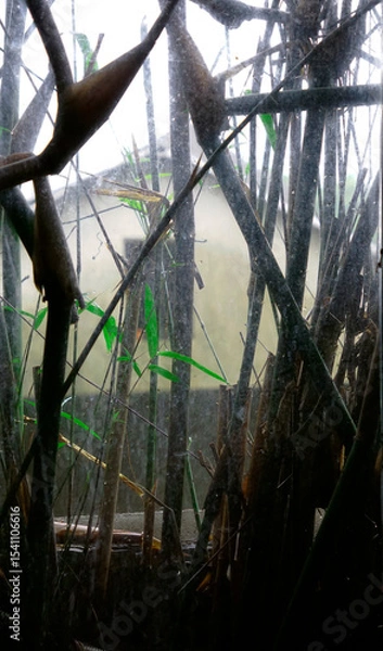 Fototapeta Bamboo shadow viewed through window glass