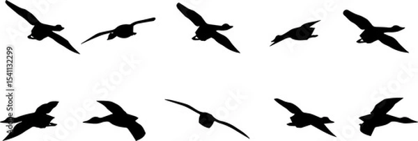 Fototapeta Silhouettes of birds in various flight positions, shown in black on a white background. Perfect for use in design, illustration, or decorative projects requiring flying bird elements.