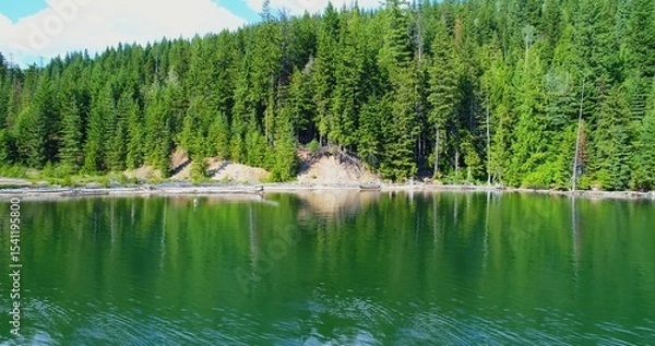 Obraz Idyllic shot of greenery by river