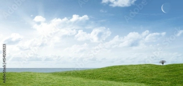 Fototapeta Solitary bare tree is standing on green hills in flat design, showing sun, clouds, crescent moon