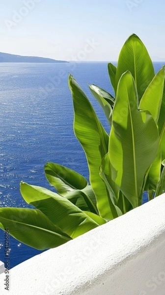 Fototapeta Serene Coastal View Lush Green Foliage Against Azure Ocean and White Wall
