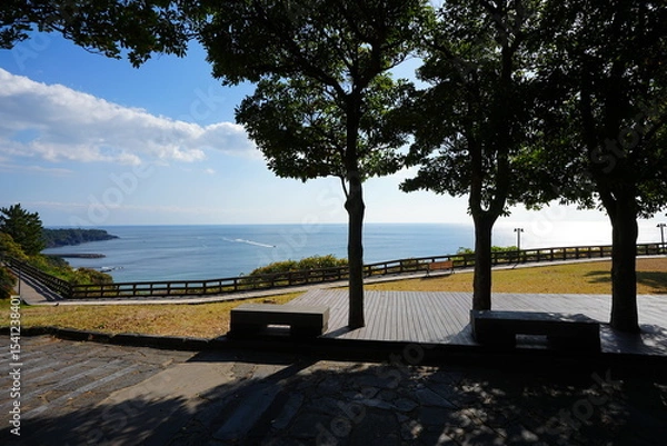 Obraz fine sea view with seaside walkway