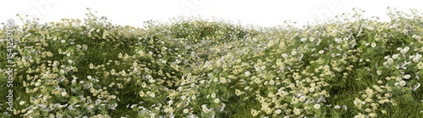 Obraz Flower field and meadow on the hill in springtime - PNG file, 3D rendering illustration