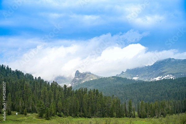 Obraz Mountain summer landscape with dense pine trees under low rainy clouds. River, nobody, wildness territory for hiking 