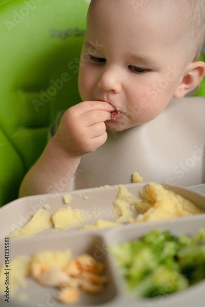 Fototapeta Curious toddler in feeding chair picking at nutritious meal components - corn cereal, green broccoli and egg. Important early eating skills development.