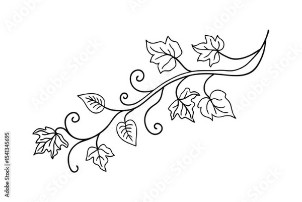 Fototapeta Elegant branch with leaves and tendrils simple vector line art design on white background