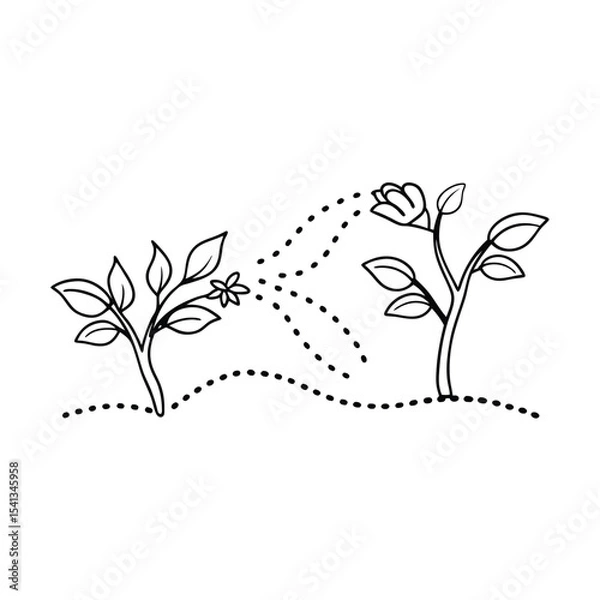 Fototapeta Hand drawn illustration of growing plants with dotted line showing growth and connection