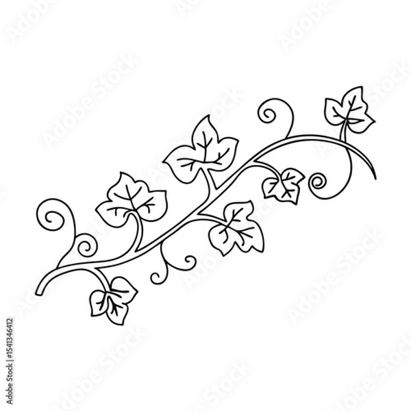 Fototapeta Simple black and white vine illustration featuring leaves and swirls on a white background
