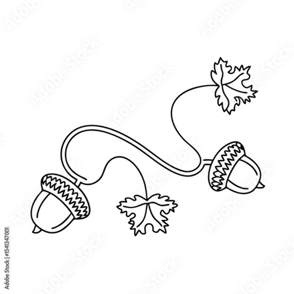 Fototapeta Simple hand drawn black and white illustration of acorns and leaves on a white background