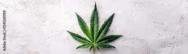Obraz A single cannabis leaf is centered on a textured, light gray concrete background.