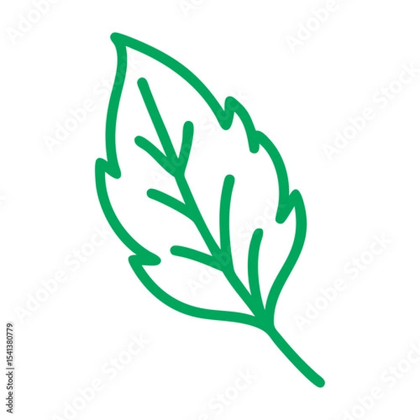 Fototapeta  Stevia leaf vector art.